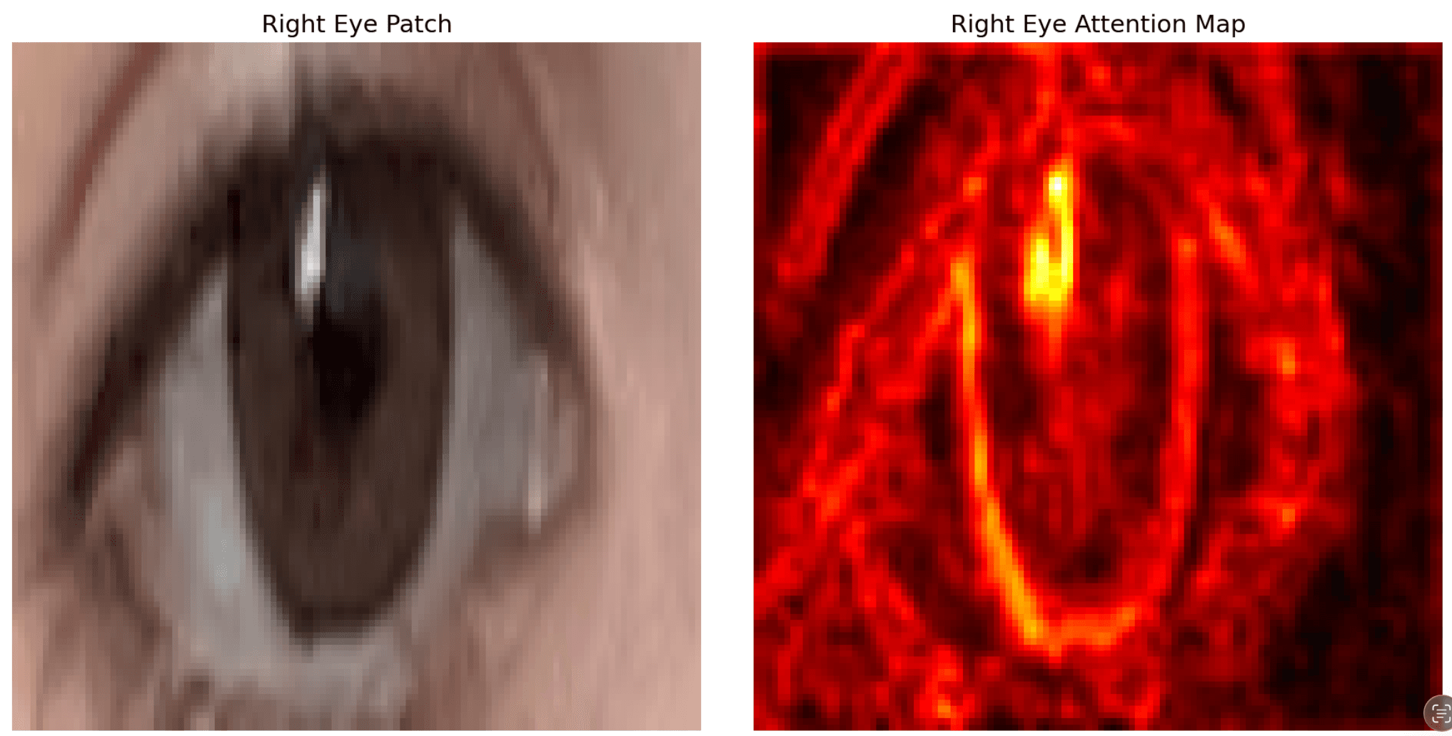 Gazelle gaze estimation preview
